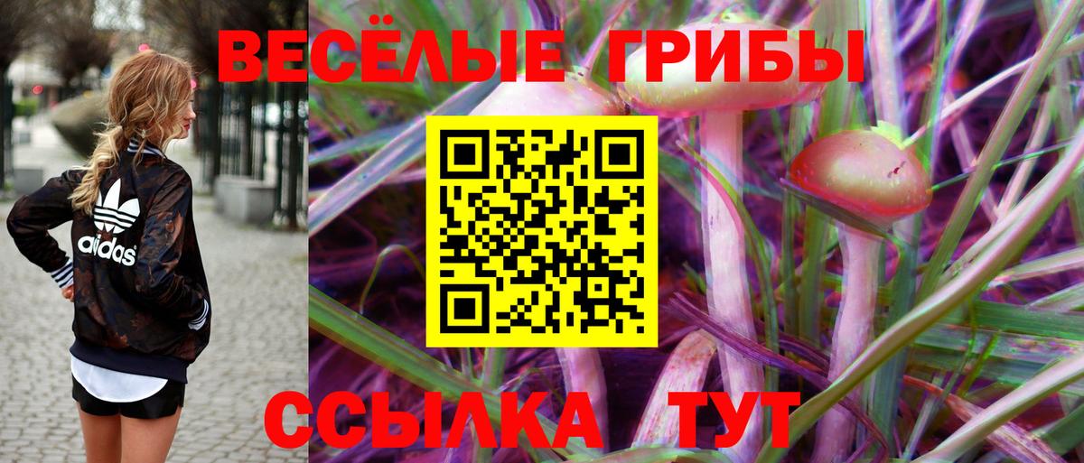 где можно купить наркотик  Вход с VPN  Коряжма  Галлюциногенные грибы Magic Shrooms  Псилоцибиновые грибы ЛСД 