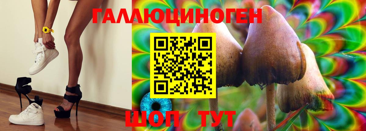 Псилоцибиновые грибы ЛСД Коряжма